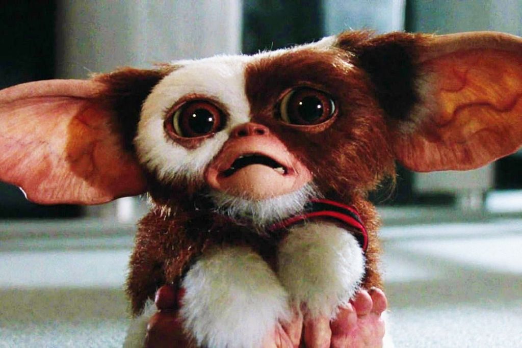 gizmo.jpg