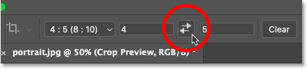 swap-aspect-ratio-portrait