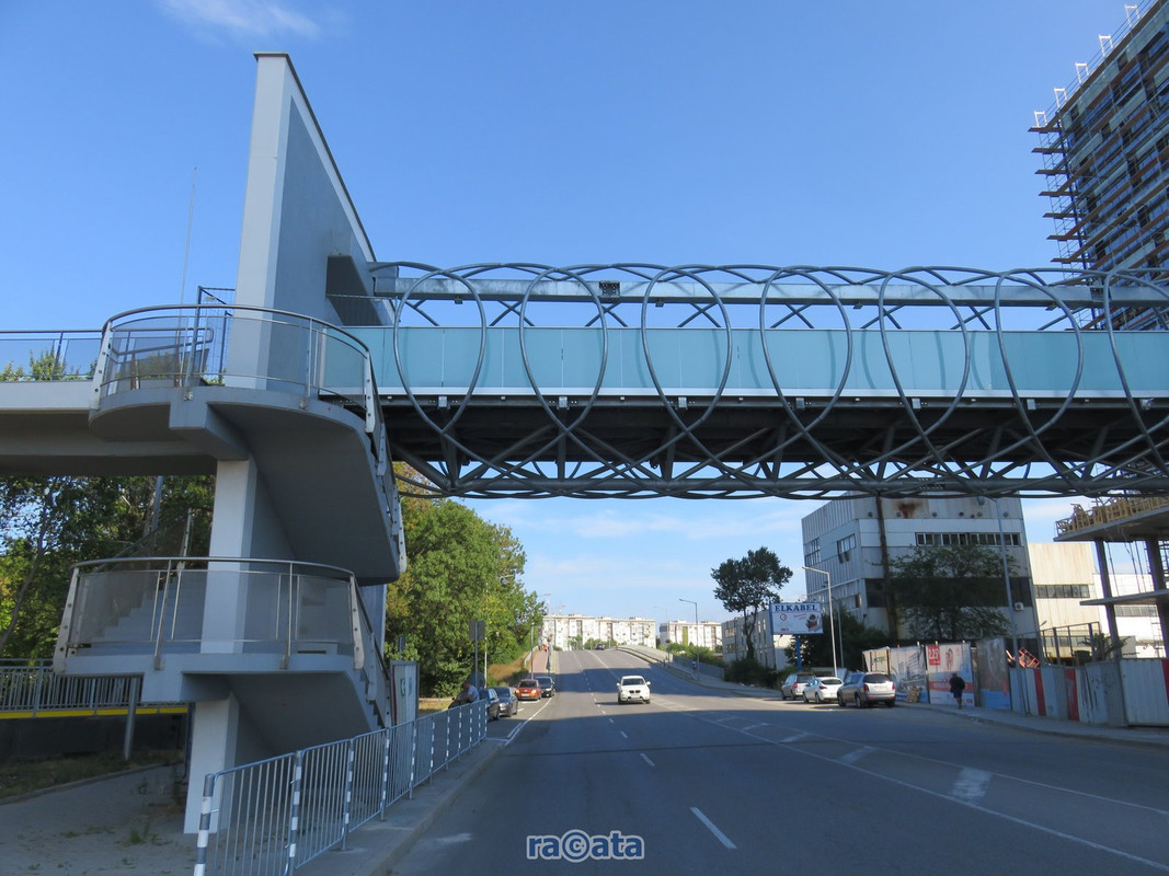 IMG-0179.jpg