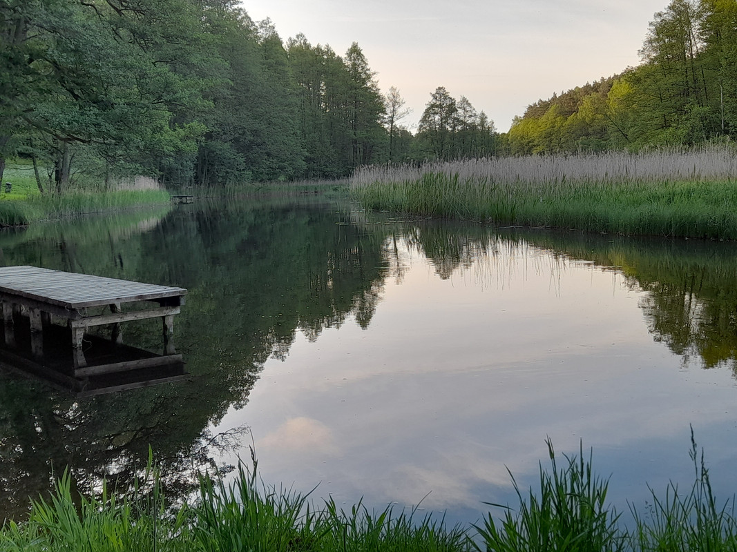 02.22 - 20210531_194005 (Aldona)