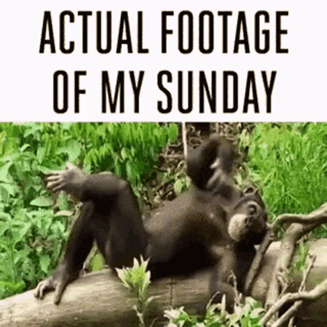 An den Beitrag angehängtes Bild: https://i.postimg.cc/3xjGKQww/oie-1774158-AIct3-R4i.gif