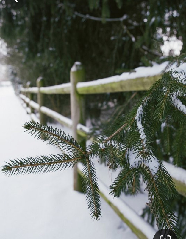 Screenshot_20240201_230513_Pinterest