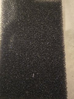 17393070155574521078609681234362