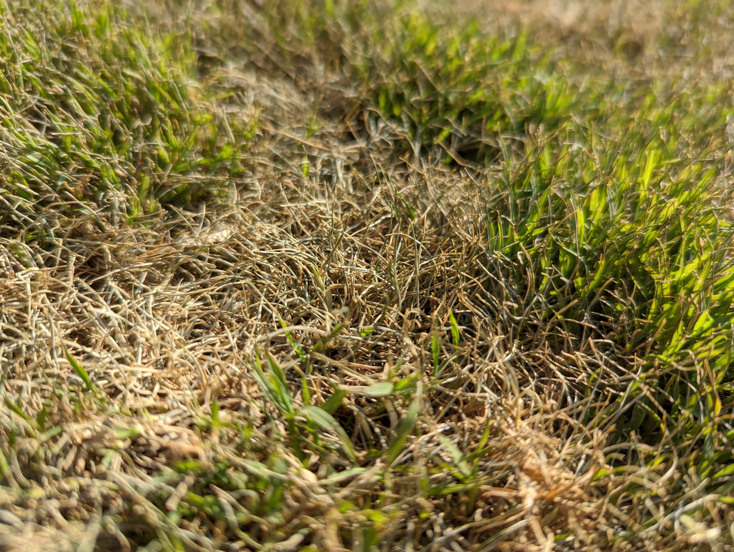 PXL_20220520_215958353