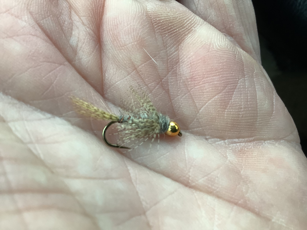 C9C6A3AA-6D7F-4BC6-A339-F84EAC475739