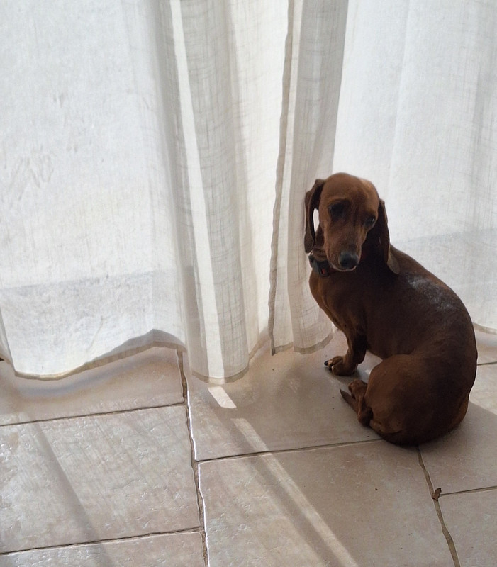 [Image: 20251117-112956.jpg]