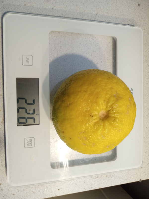 IMG 20260102 122242383 MFNR