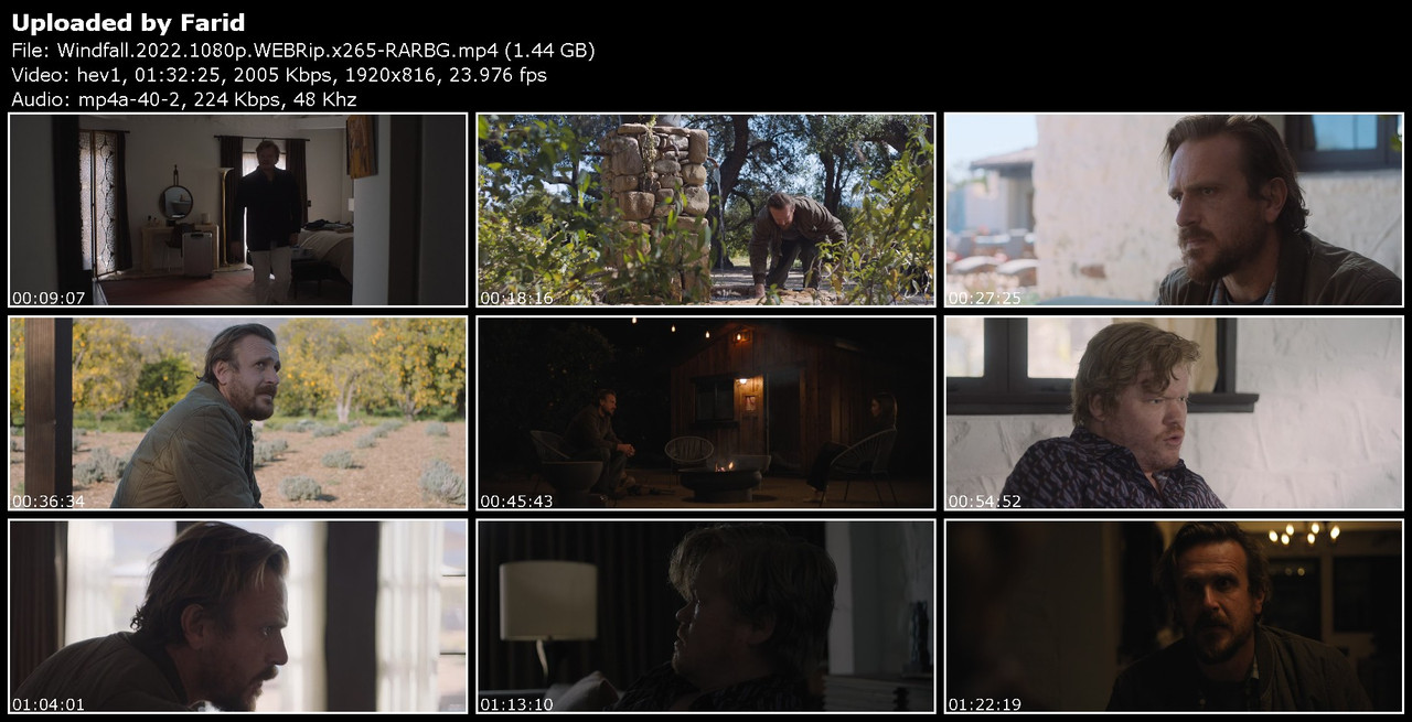 Windfall-2022-1080p-WEBRip-x265-RARBG.jpg