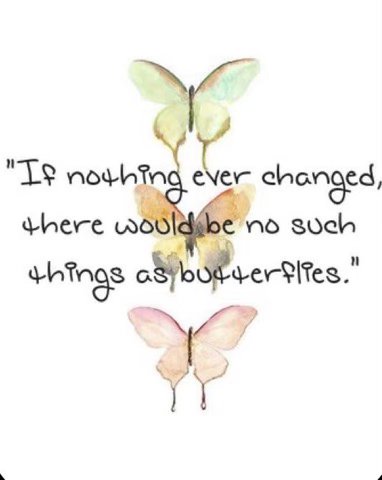 Butterflies-change