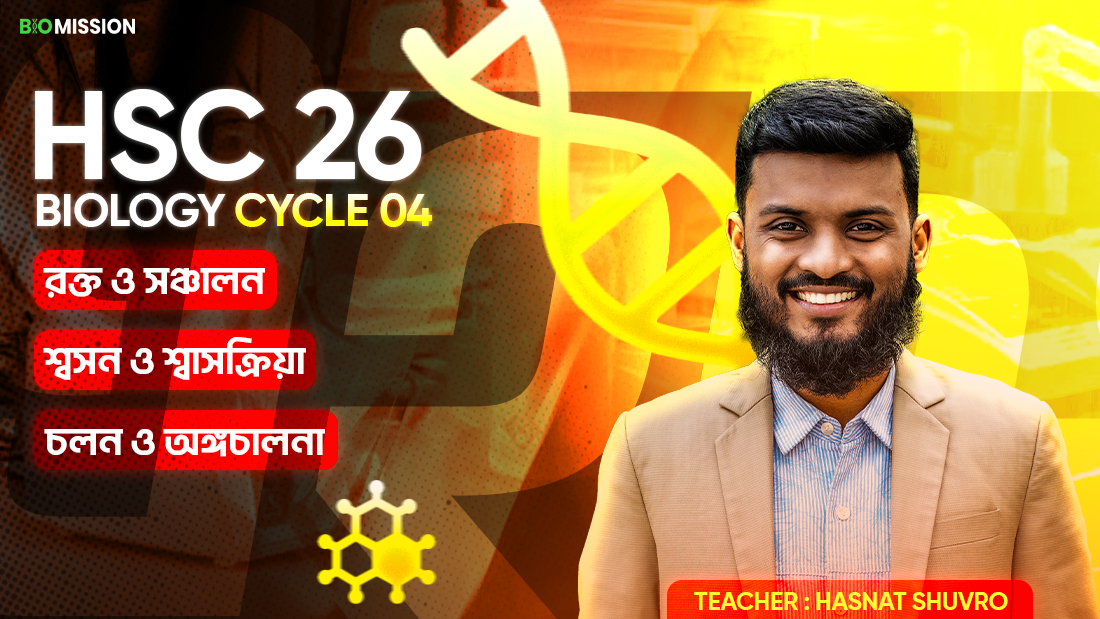 Cycle 4