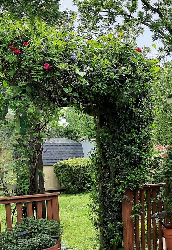 181912513_3893396474090782_8252037442794171412_n (2)