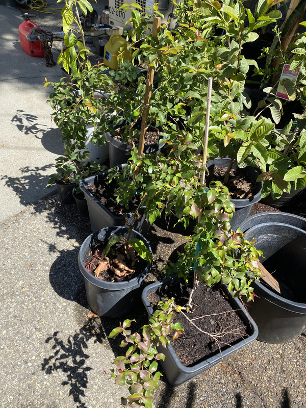 E7796728-DE81-4DFE-87C7-A8649947278A