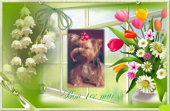 pixiz 29 04 2026 21 59 45