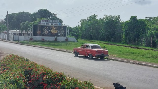 DIA 8 – HOTEL IBEROSTAR CORAL ENSENACHOS + VUELO DE VUELTA - Hotel Iberostar Selection Ensenachos (33)