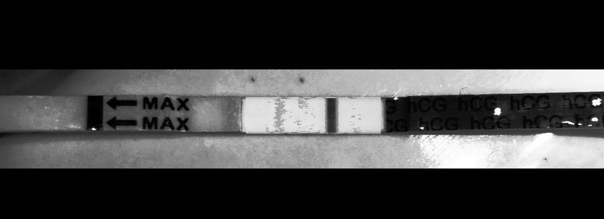 B5B0D5EB-FFBB-4E3C-82DB-588AF91FC97F