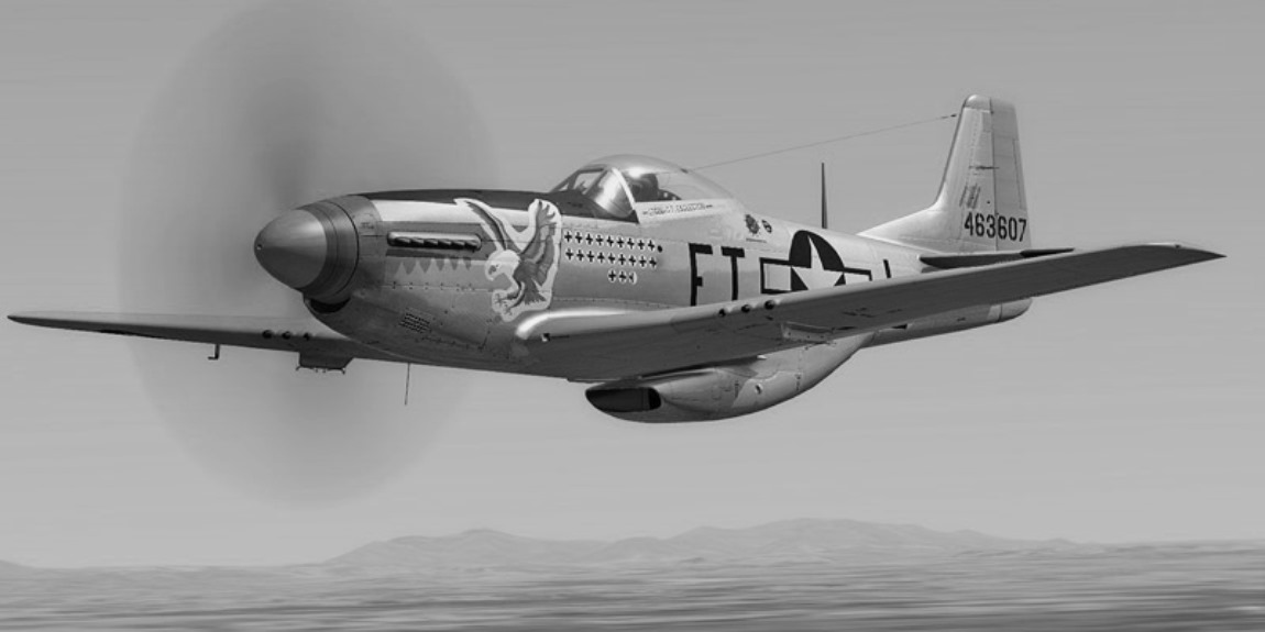 韓国 ファッション通販 EXTRA RARE Mustang P-51D Feeble Eagle Eagleston 1945 BNIB 1 ミニカー
