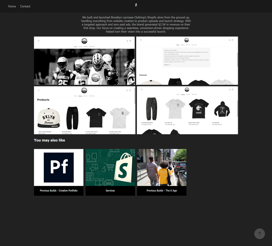 OLD SITE Screenshot 2