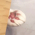 https://i.postimg.cc/3xn1sqbz/0-612.gif