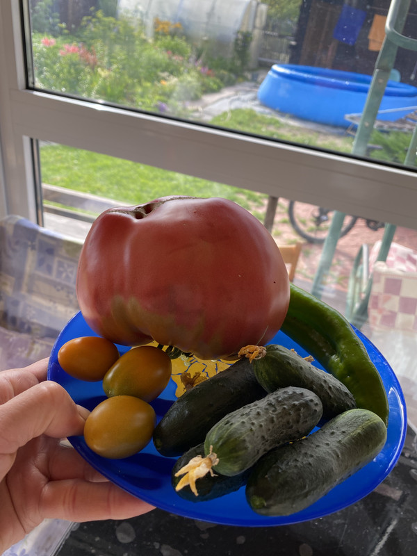 5A343F97-04B5-4356-A95E-907A897F62CE