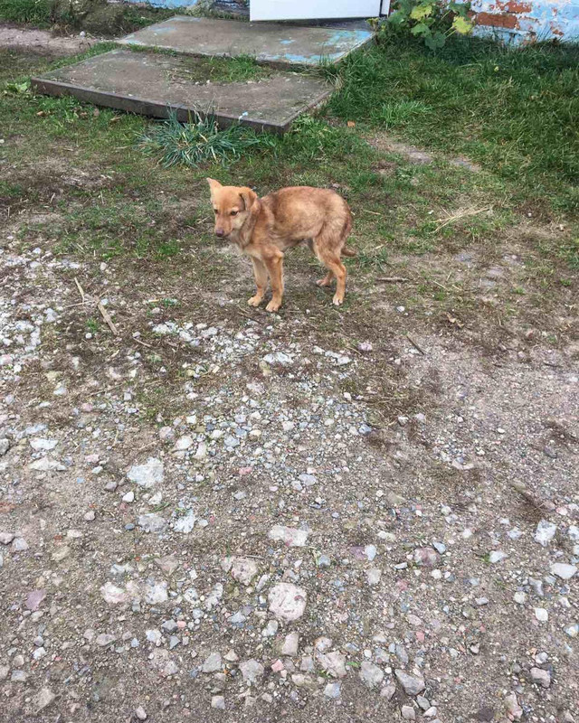 IMG-e3630d9d31981bb59f4a53736edd6418-V