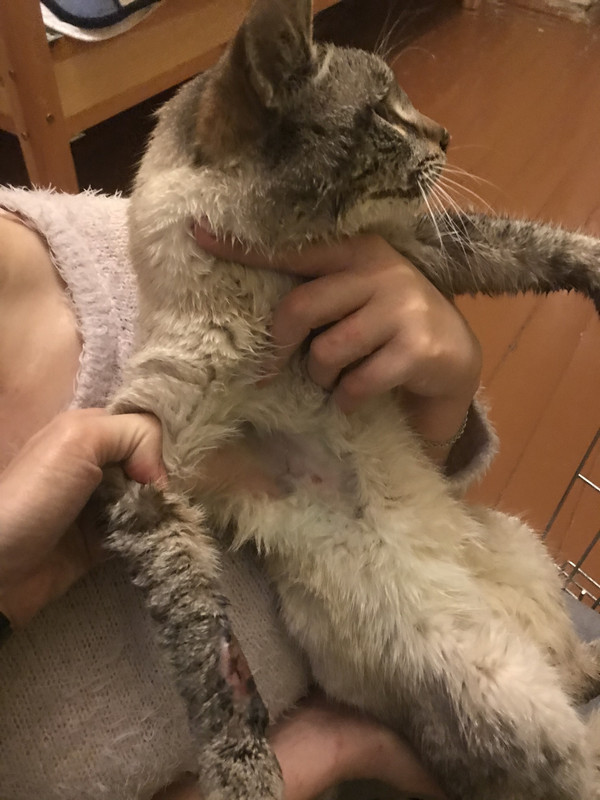 E8067346-1614-4F4D-A835-DDC86033486A