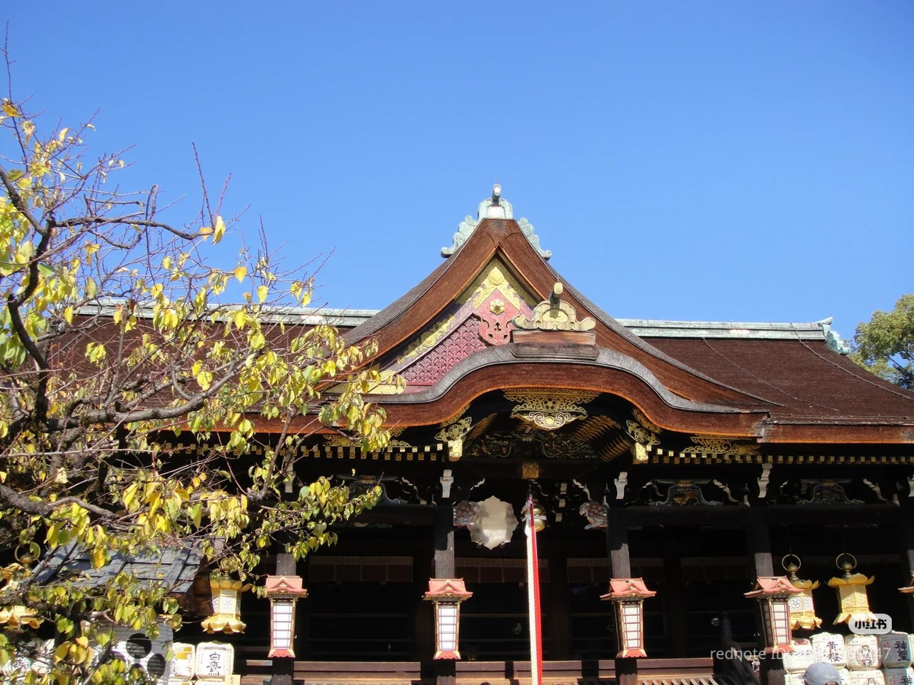 photo 17 2025 12 14 22 29 25