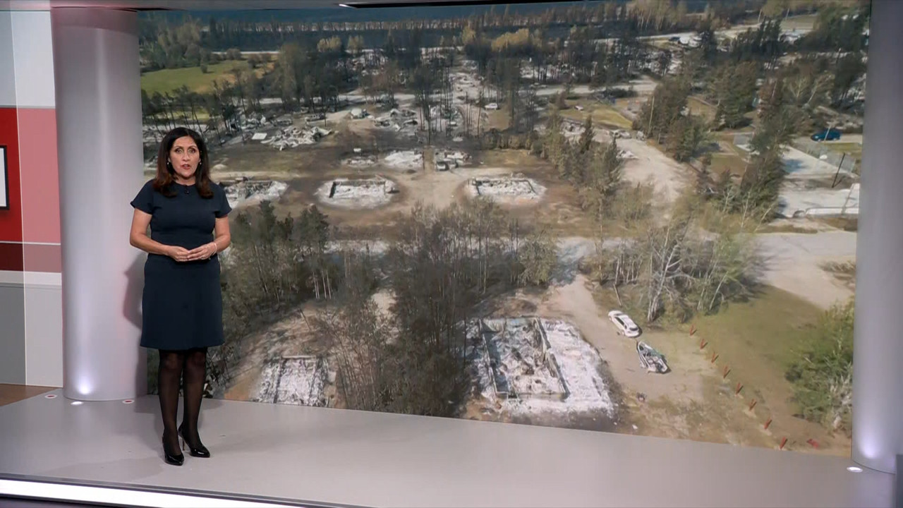 BBC News_20230821_13001330.ts_snapshot_12.57.595