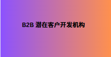 B2B 潜在客户开发机构
