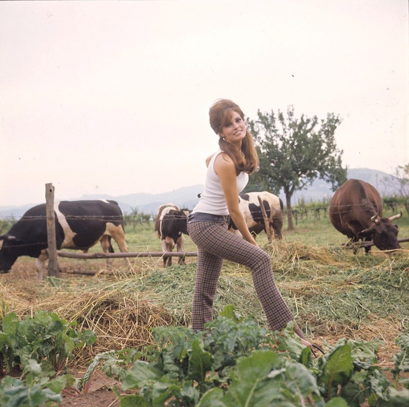 raquel_welch_f63