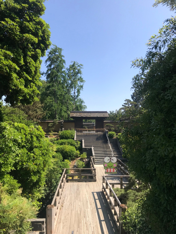 Japanese Garden area at the Huntington