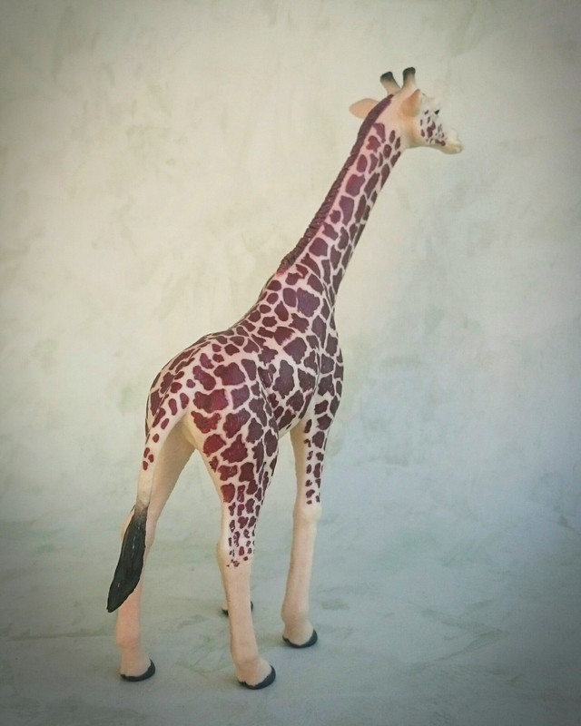 mojo - Mojo 2020 - Masai Giraffe 20200627-130259
