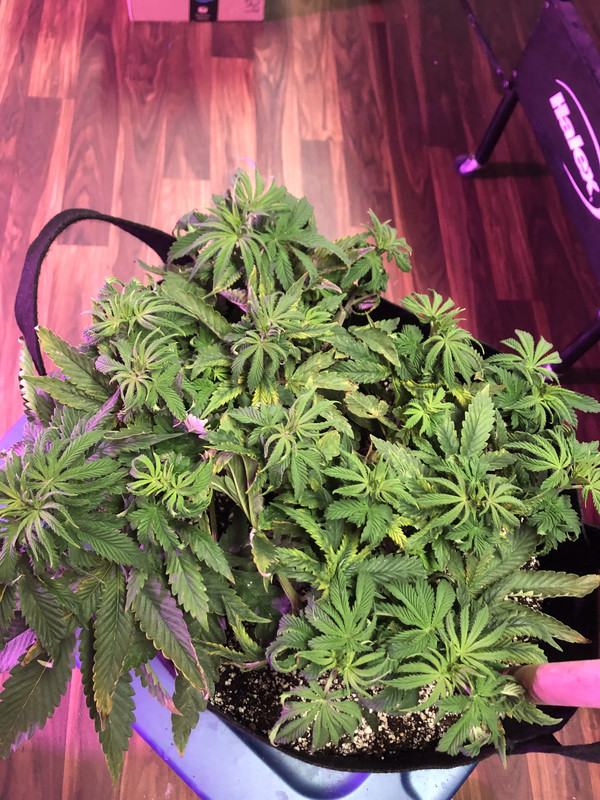 D37F7CA0-117D-4EB0-BA06-B4413973CA56