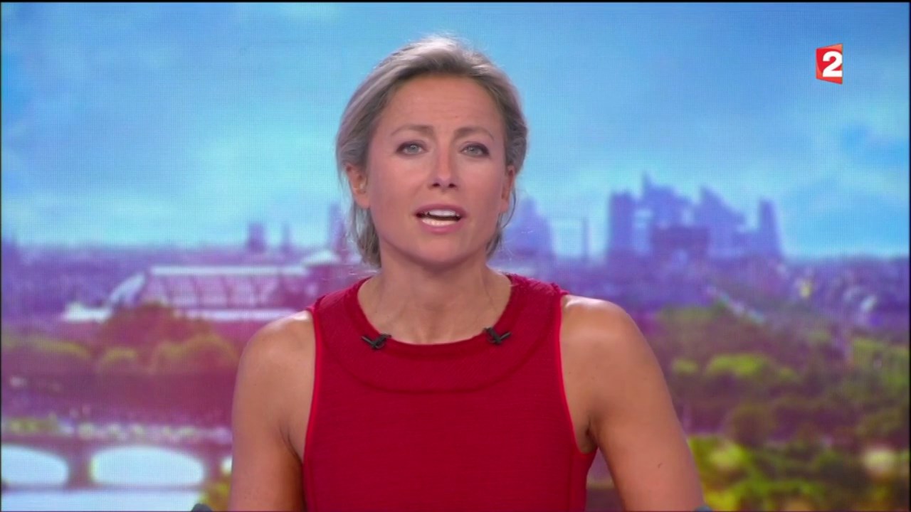 Anne-Sophie Lapix to edit 040917.mp4_snapshot_08