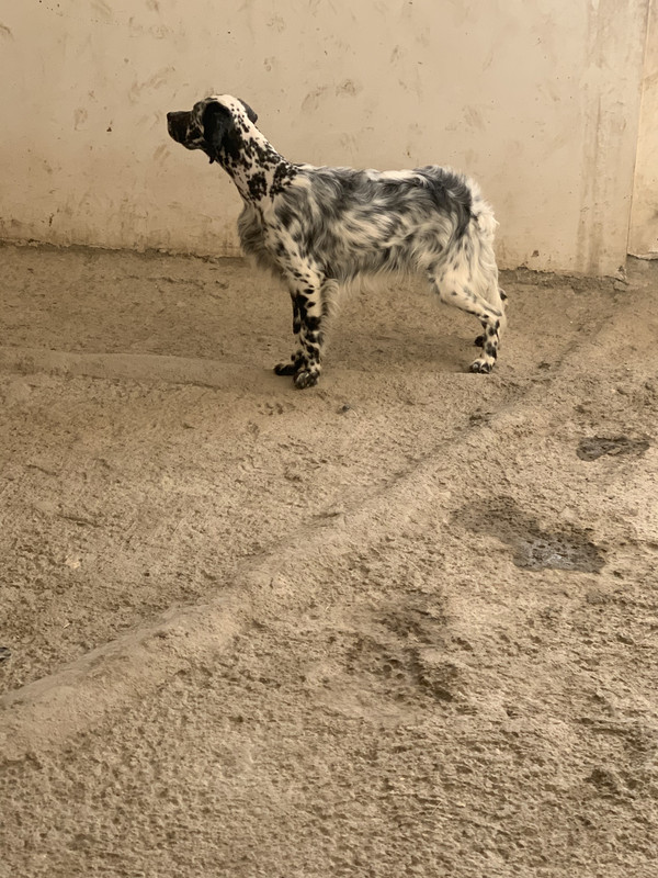 72653B40-1A8A-4F9D-8D40-659435B334CC