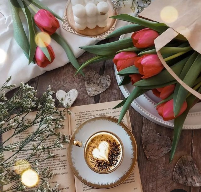 Screenshot_20230408_003333_Pinterest