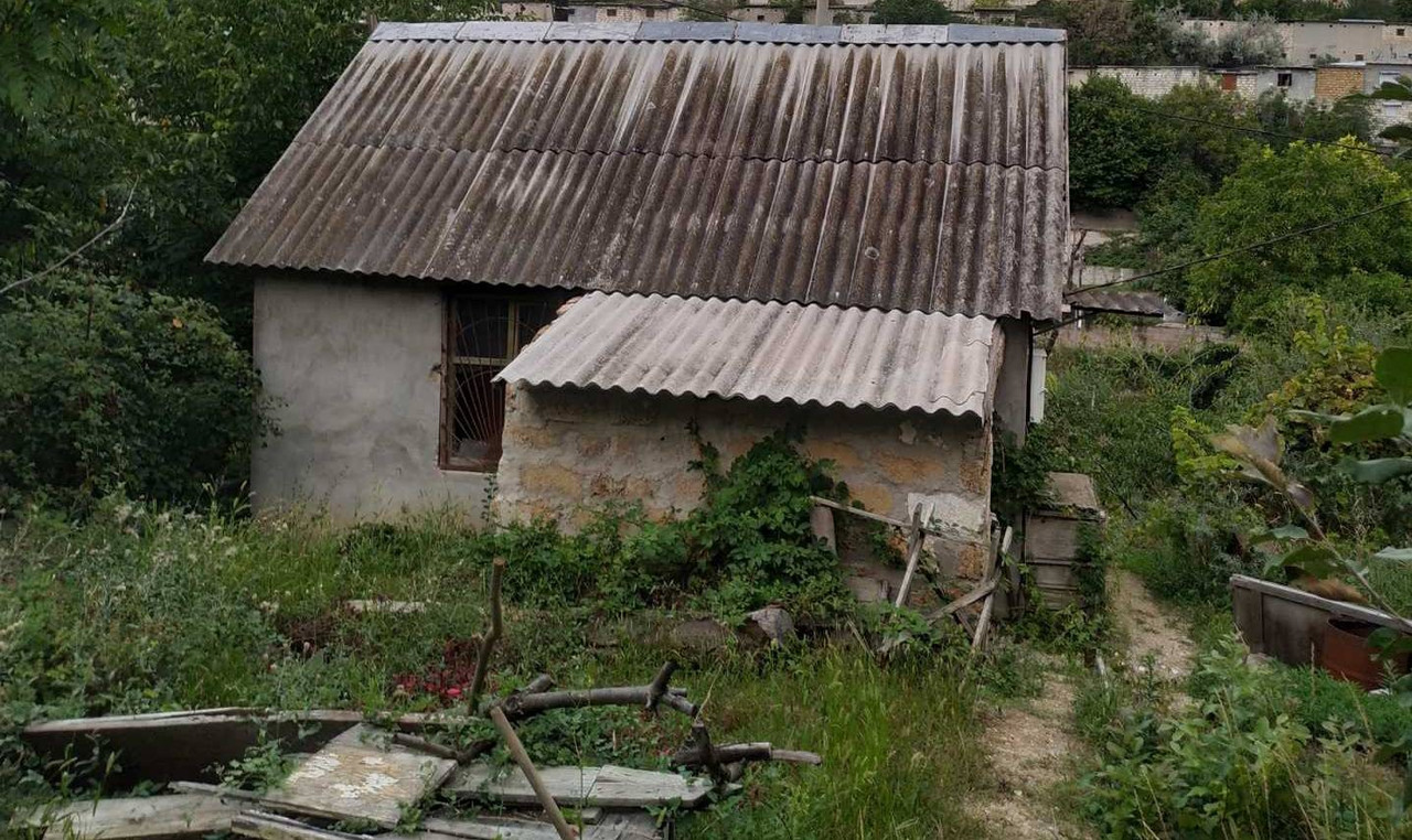 изображение_viber_2022-06-04_09-49-27-845