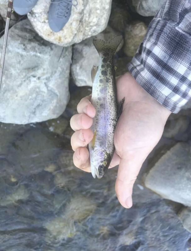 DCAE42BD-803E-4EF3-82B1-198849E0FDE6