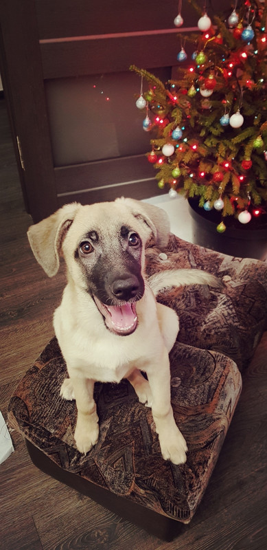 B7FD0ECE-634A-4E0A-AAEF-5146E7E20536