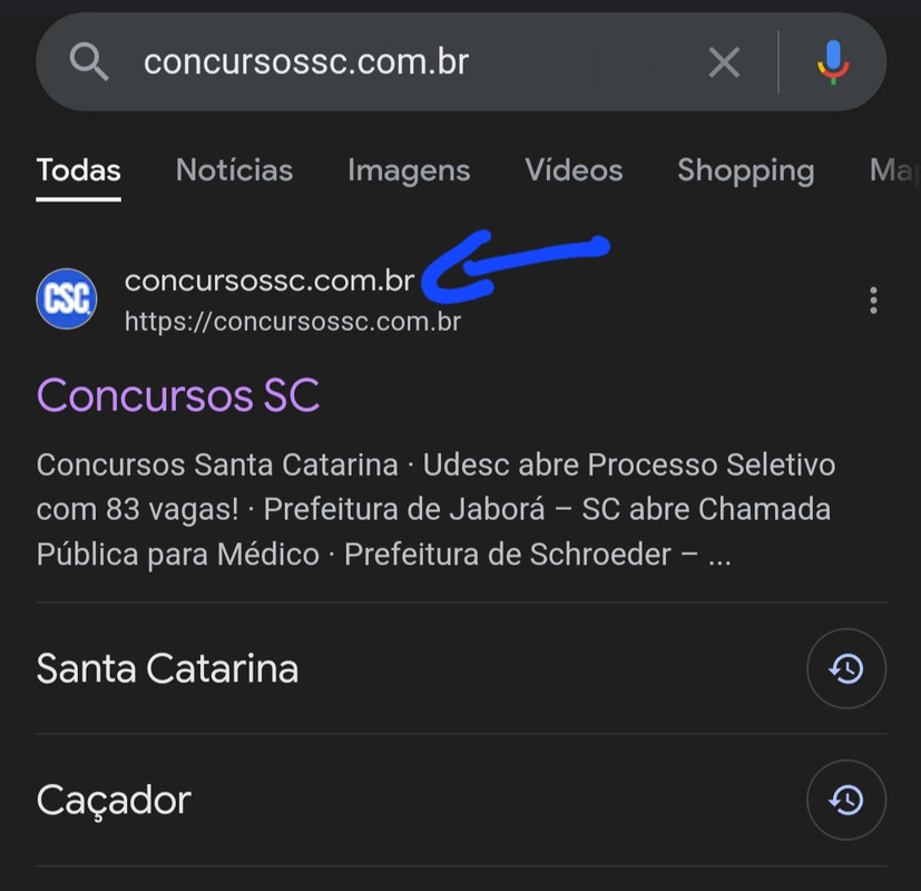 Screenshot_20240528_025219_Chrome