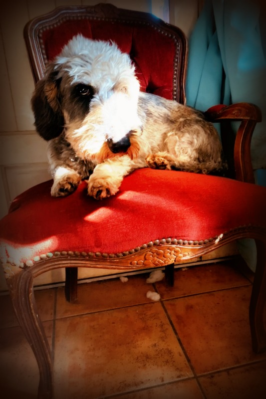 [Image: IMG-0985.jpg]