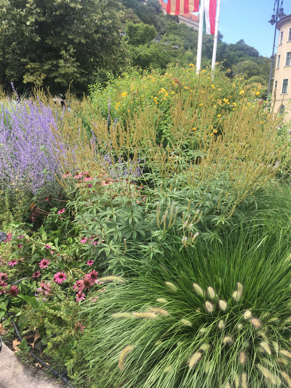 8F18D728-C676-4F09-8AFE-370FE204C1BF