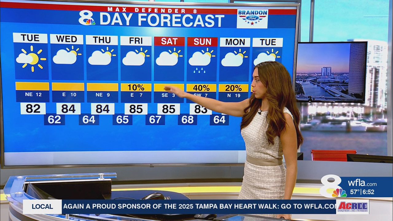 News Channel 8 Today at 6a 20251104 11001200 ts snapshot 00 53 00 818
