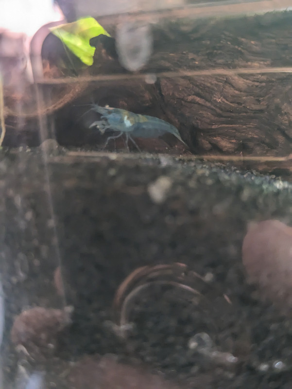 PXL_20240426_205308429