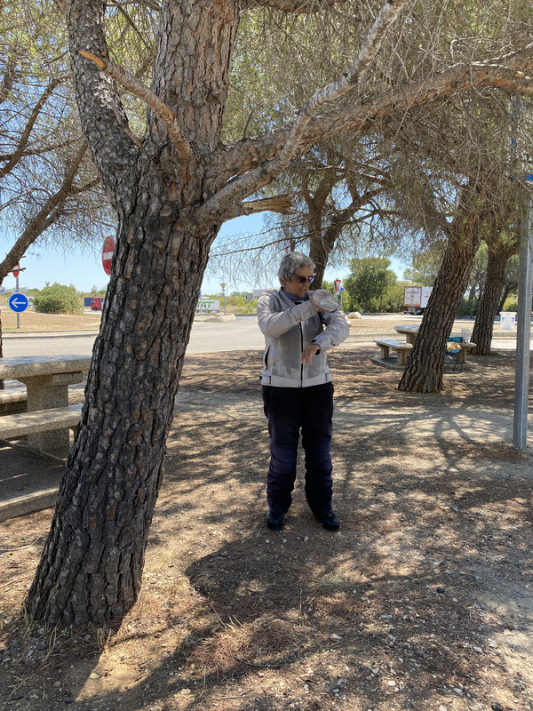 0442BC06-BB9C-4FE4-9A82-D0EB2B16851A