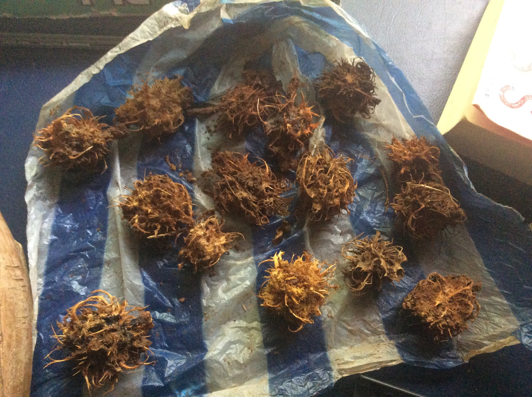 C5672FEA-91BB-42E5-BB00-639980975E58