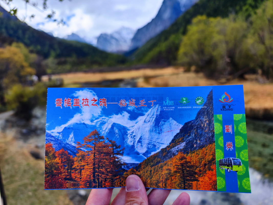 IMG_20230520_094341_副本