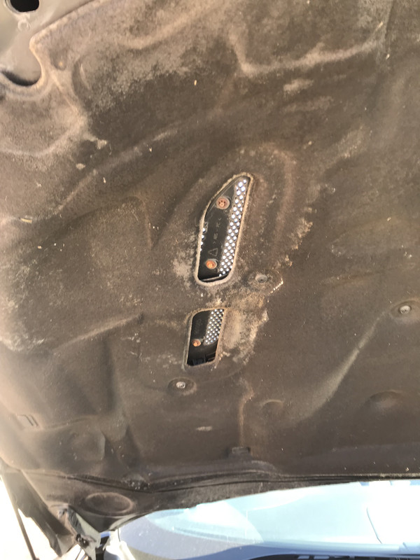 Bonnet Insulation Dirty