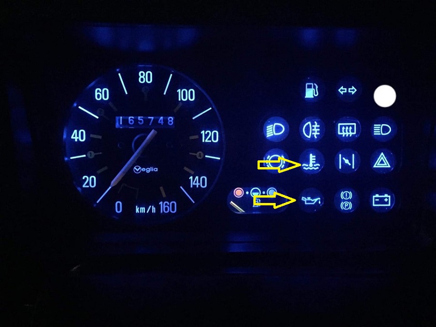 61353248_10214139744236262_7123637580393873408_n