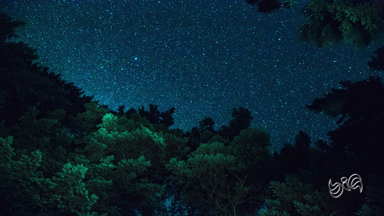 Big-gabrielle-mustapich_by_creto