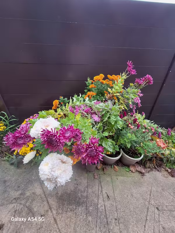 [Image: 20241105-100933.avif]